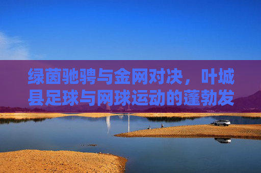 绿茵驰骋与金网对决,叶城县足球与网球运动的蓬勃发展