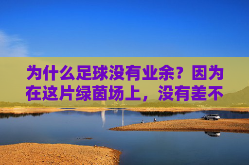 为什么足球没有业余?因为在这片绿茵场上,没有差不多先生