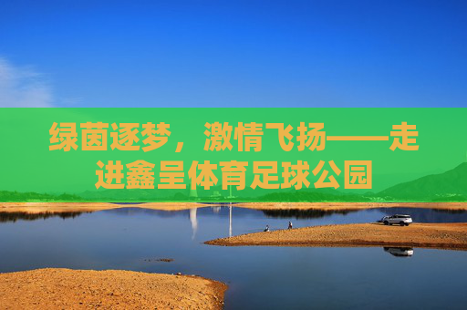 绿茵逐梦，激情飞扬——走进鑫呈体育足球公园