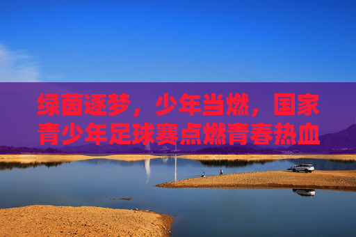 绿茵逐梦,少年当燃,国家青少年足球赛点燃青春热血