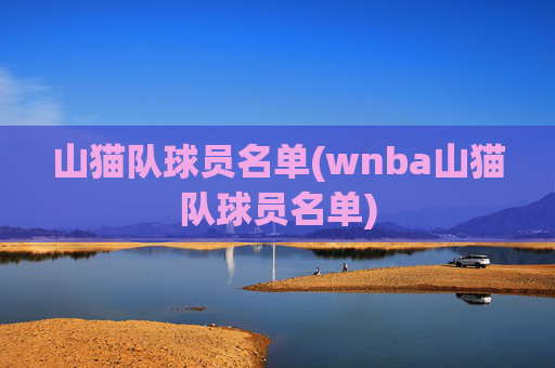 山猫队球员名单(wnba山猫队球员名单)