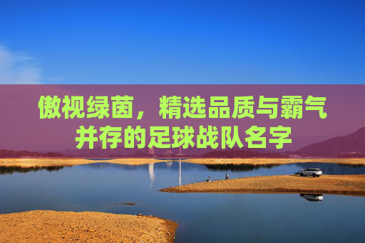 傲视绿茵，精选品质与霸气并存的足球战队名字