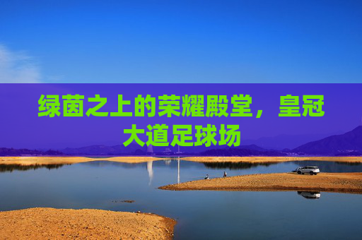 绿茵之上的荣耀殿堂，皇冠大道足球场