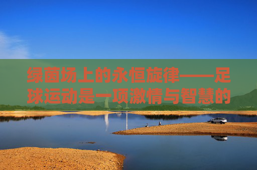 绿茵场上的永恒旋律——足球运动是一项激情与智慧的交响