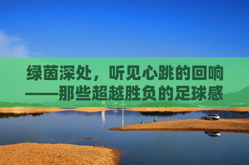 绿茵深处，听见心跳的回响——那些超越胜负的足球感人瞬间