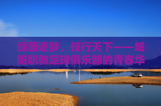 绿茵逐梦,技行天下——城阳职教足球俱乐部的青春华章