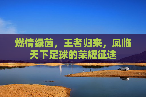 燃情绿茵,王者归来,凤临天下足球的荣耀征途