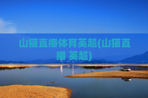 山猫直播体育英超(山猫直播 英超)