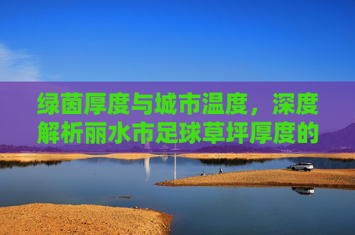 绿茵厚度与城市温度，深度解析丽水市足球草坪厚度的重要性