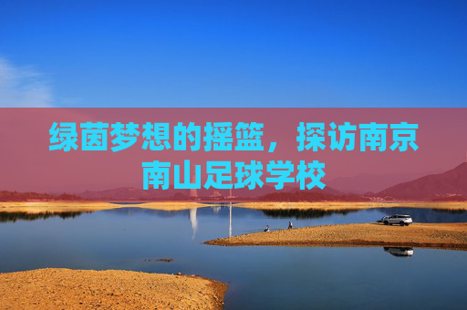 绿茵梦想的摇篮,探访南京南山足球学校
