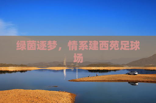 绿茵逐梦,情系建西苑足球场