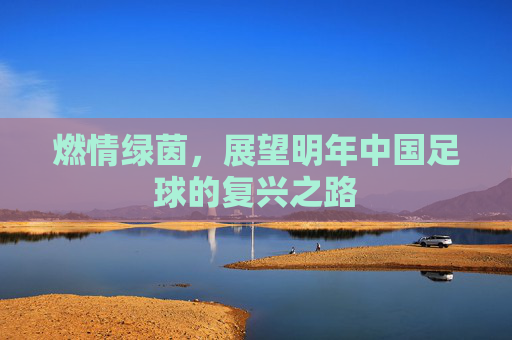 燃情绿茵，展望明年中国足球的复兴之路