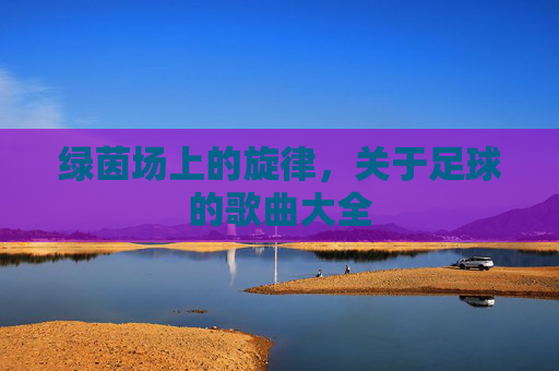 绿茵场上的旋律,关于足球的歌曲大全