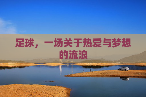 足球，一场关于热爱与梦想的流浪
