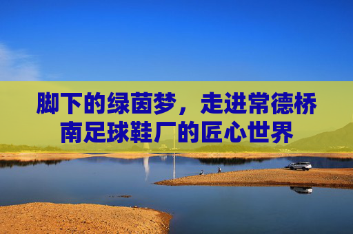 脚下的绿茵梦,走进常德桥南足球鞋厂的匠心世界
