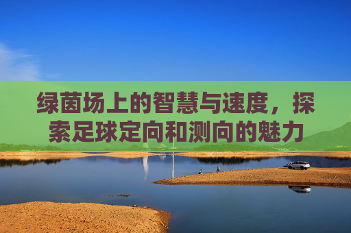 绿茵场上的智慧与速度,探索足球定向和测向的魅力