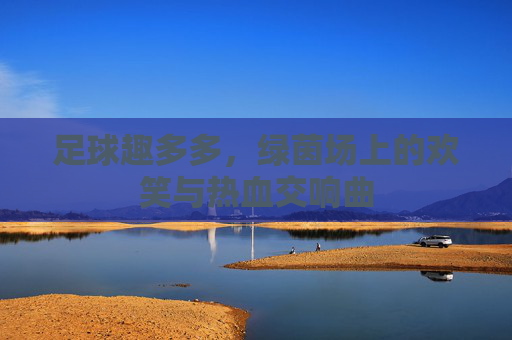 足球趣多多,绿茵场上的欢笑与热血交响曲