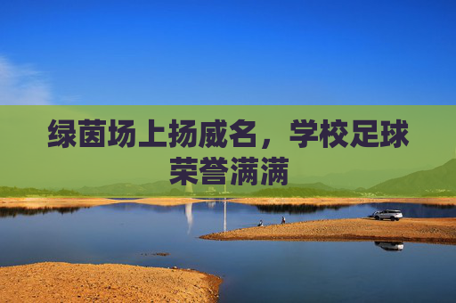 绿茵场上扬威名,学校足球荣誉满满