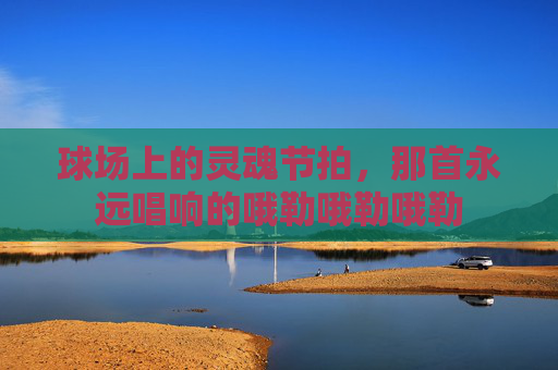 球场上的灵魂节拍,那首永远唱响的哦勒哦勒哦勒