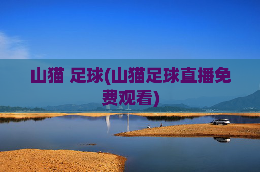 山猫 足球(山猫足球直播免费观看)
