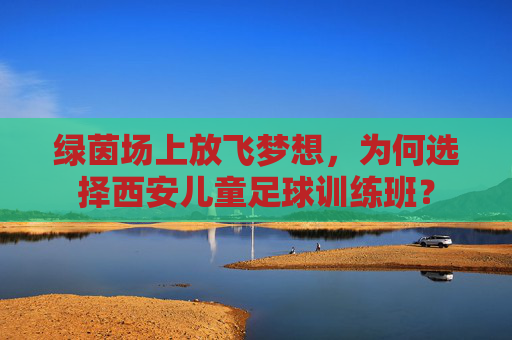 绿茵场上放飞梦想,为何选择西安儿童足球训练班?