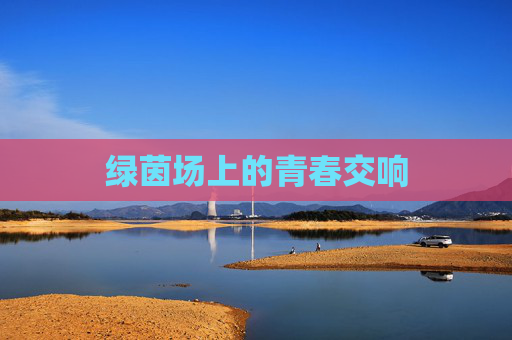 绿茵场上的青春交响