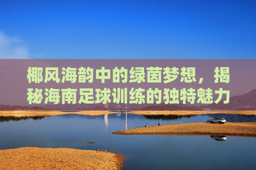 椰风海韵中的绿茵梦想，揭秘海南足球训练的独特魅力