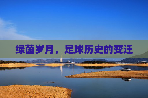 绿茵岁月，足球历史的变迁
