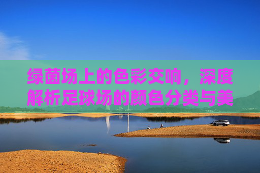 绿茵场上的色彩交响,深度解析足球场的颜色分类与美学