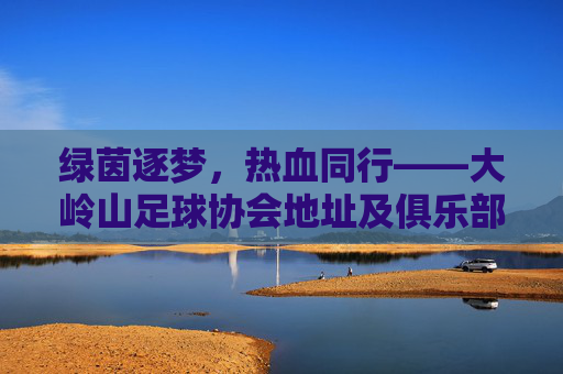 绿茵逐梦，热血同行——大岭山足球协会地址及俱乐部全攻略