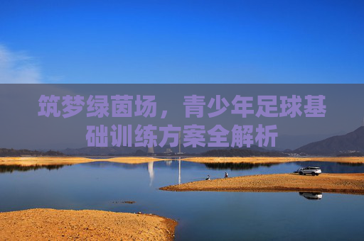 筑梦绿茵场，青少年足球基础训练方案全解析