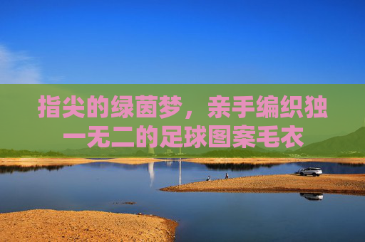 指尖的绿茵梦,亲手编织独一无二的足球图案毛衣
