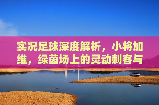 实况足球深度解析,小将加维,绿茵场上的灵动刺客与未来之星