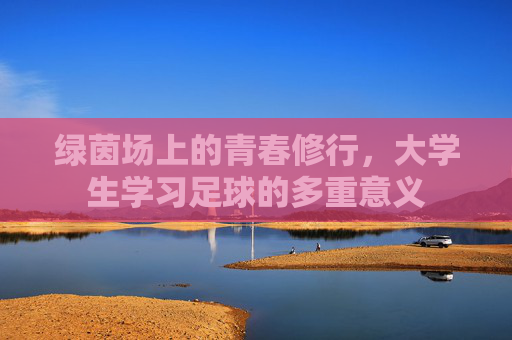 绿茵场上的青春修行,大学生学习足球的多重意义