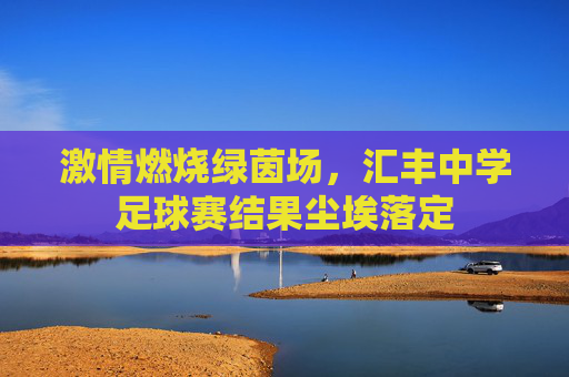 激情燃烧绿茵场,汇丰中学足球赛结果尘埃落定