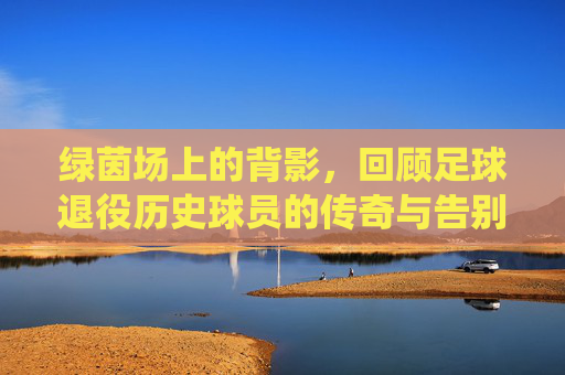 绿茵场上的背影，回顾足球退役历史球员的传奇与告别