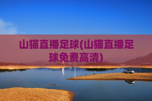 山猫直播足球(山猫直播足球免费高清)