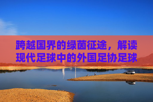 跨越国界的绿茵征途,解读现代足球中的外国足协足球员