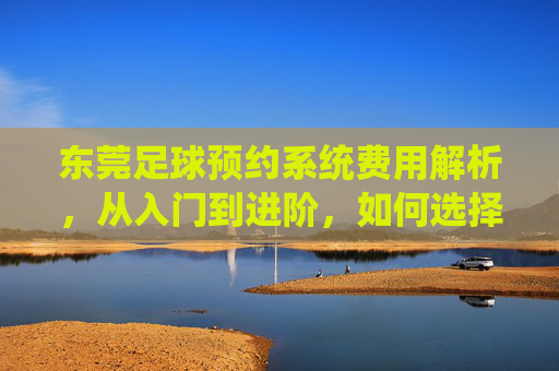 东莞足球预约系统费用解析,从入门到进阶,如何选择高性价比方案?