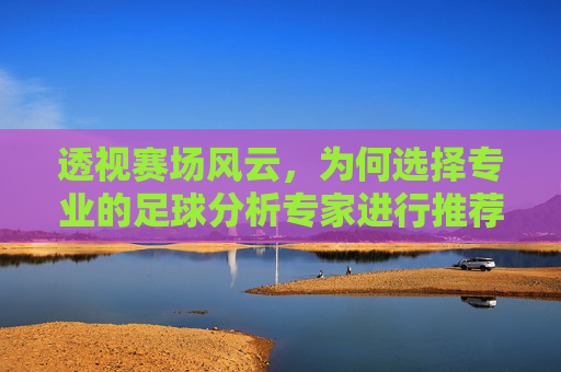 透视赛场风云,为何选择专业的足球分析专家进行推荐?