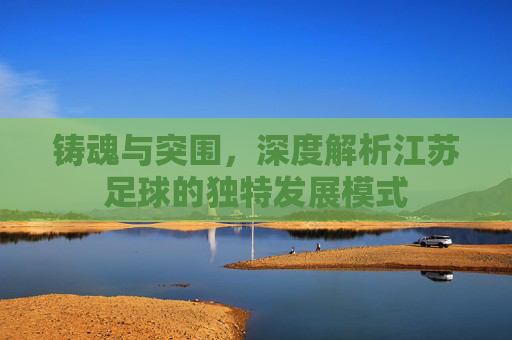 铸魂与突围,深度解析江苏足球的独特发展模式