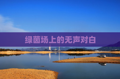 绿茵场上的无声对白