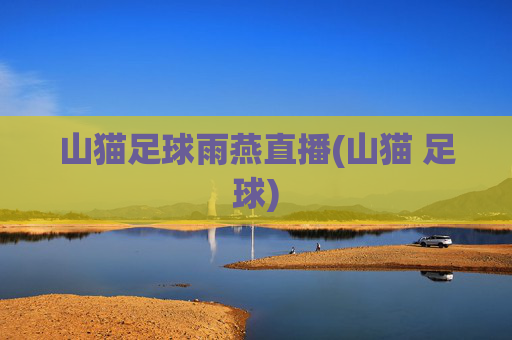 山猫足球雨燕直播(山猫 足球)