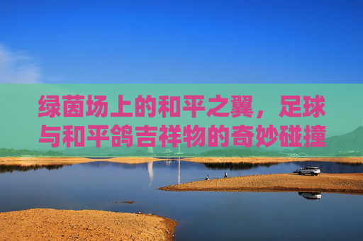 绿茵场上的和平之翼，足球与和平鸽吉祥物的奇妙碰撞