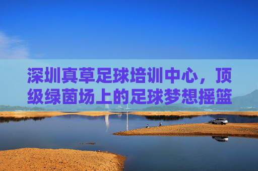 深圳真草足球培训中心,顶级绿茵场上的足球梦想摇篮