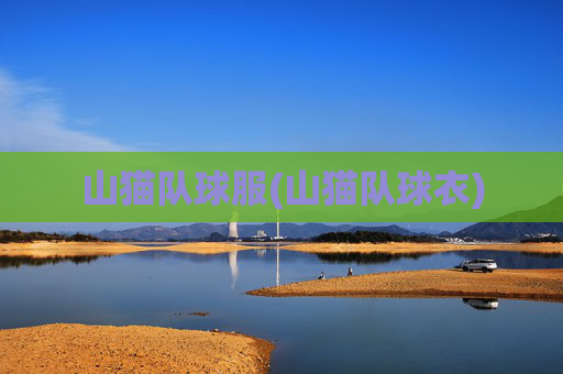 山猫队球服(山猫队球衣)