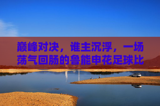 巅峰对决,谁主沉浮,一场荡气回肠的鲁能申花足球比赛