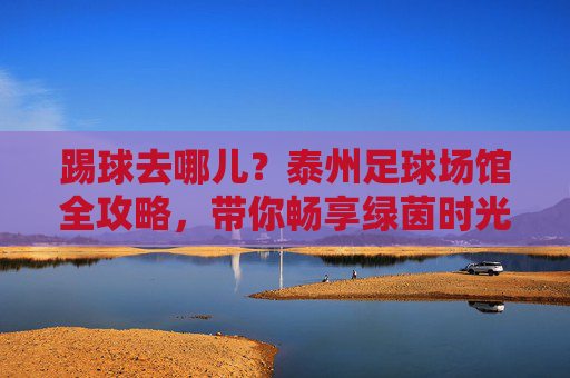 踢球去哪儿?泰州足球场馆全攻略,带你畅享绿茵时光