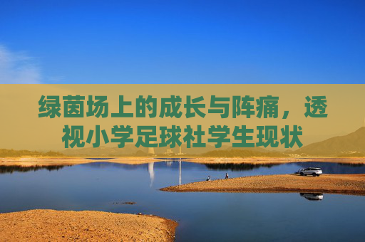 绿茵场上的成长与阵痛,透视小学足球社学生现状