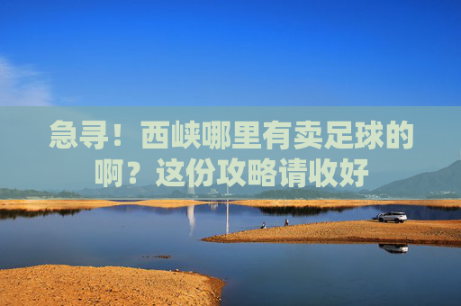 急寻！西峡哪里有卖足球的啊？这份攻略请收好